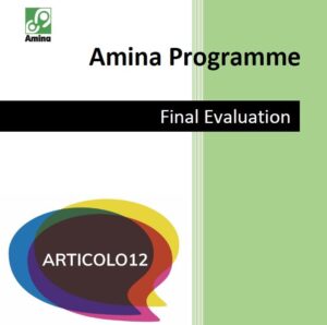 Read more about the article Valutazione finale Programma Amina
